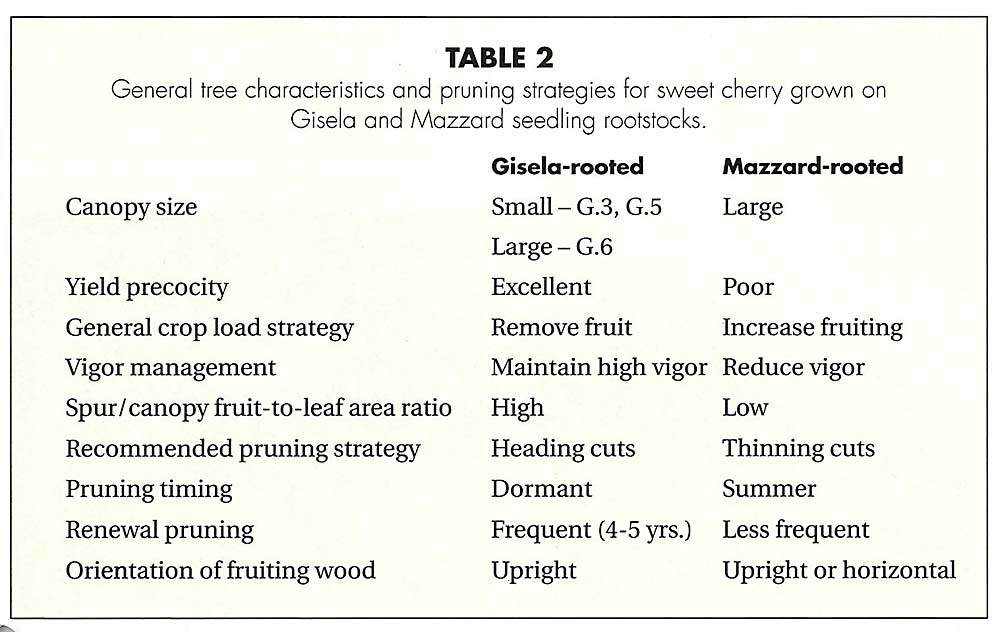 The next generation sweet cherry orchard, Table 2