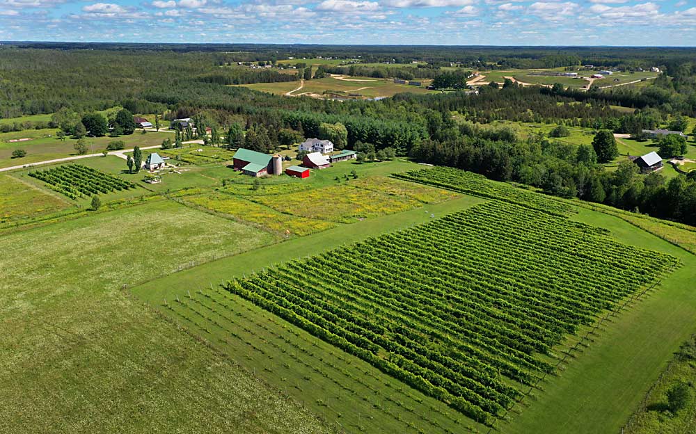 Northern Sun Winery is a 5.5-acre vineyard and winery located in the south-central Upper Peninsula of Michigan, about 7 miles inland from the northwest coast of Lake Michigan. (Courtesy Northern Sun Winery)
