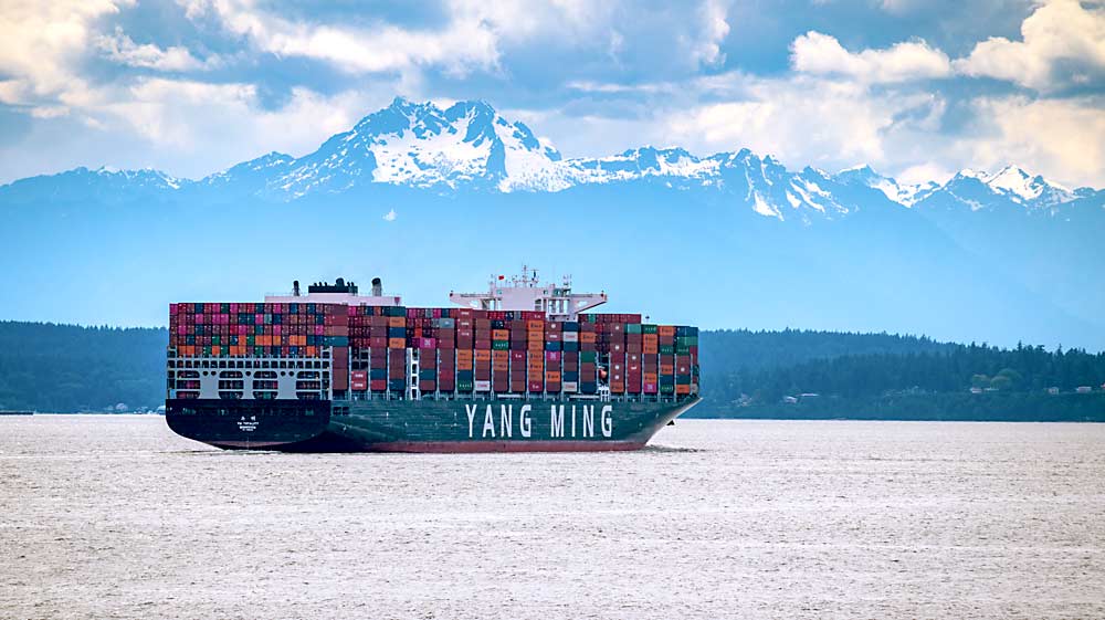 The YM Totality container ship waits in Puget Sound in June to be unloaded at the Port of Seattle. Mount Olympus stands watch in the background. (Courtesy The Northwest Seaport Alliance)