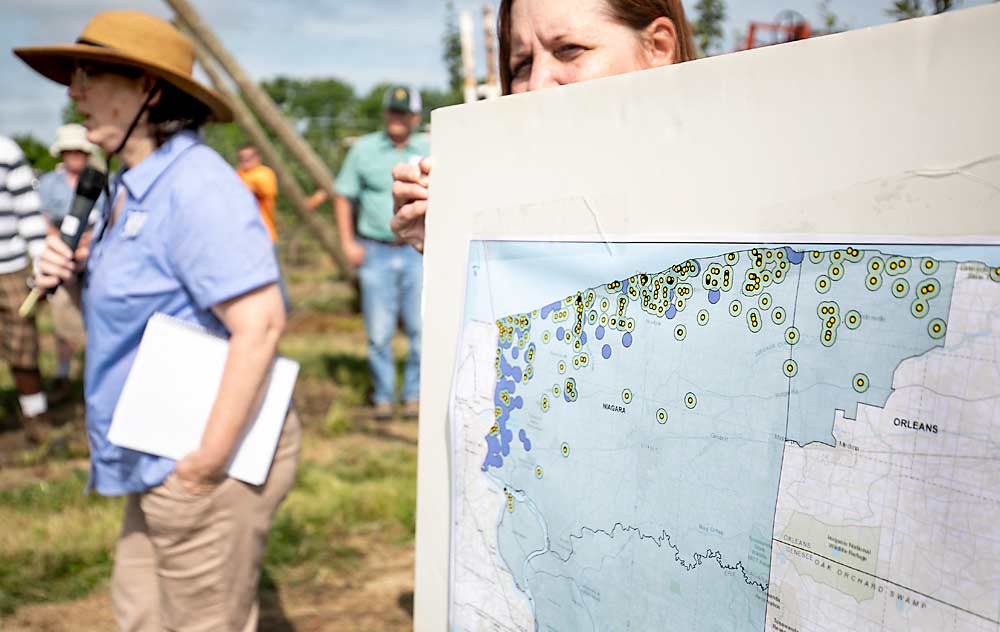Margaret Kelly, left, with the New York State Department of Agriculture and Markets, discusses the European cherry fruit fly quarantine program during the 2019 Lake Ontario Fruit Program summer fruit tour in Niagara County, New York. Recent positive detections in commercial tart cherry crops had thrown cherry growers and regulators into turmoil. (TJ Mullinax/Good Fruit Grower)