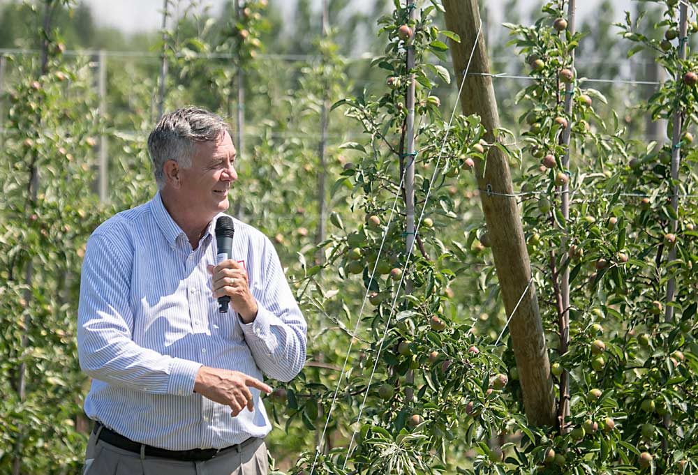 Cornell University fruit physiologist Terence Robinson discusses managed New York apple varieties in front of an NY 2 orchard during Cornell Cooperative Extension’s Lake Ontario Fruit summer tour in Niagara County, New York, in July. Growers like NY 2, but Crunch Time Apple Growers will not expand acreage of the apple, marketed as RubyFrost, at this time. (TJ Mullinax/Good Fruit Grower)