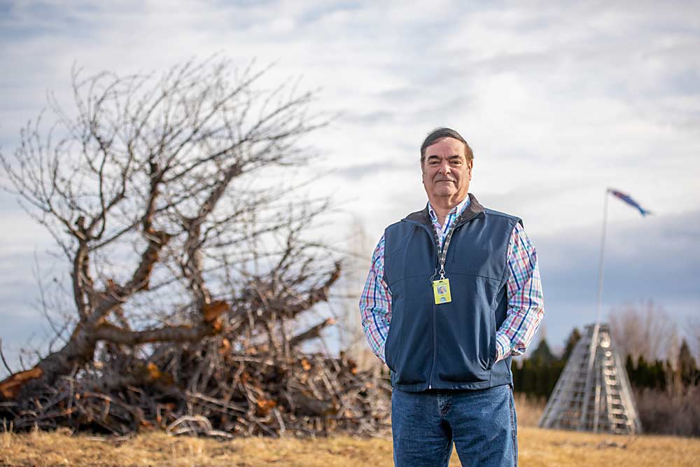 Keith Mathews, program coordinator for the Horticultural Pest and Disease Board of Yakima County, Washington, shows off an old cherry and apple orchard in Gleed.  The orchard was removed in March 2022 to avoid contributing to pest pressure on neighboring operating commercial orchards.  (TJ Mullinax/Good Fruit Grower)