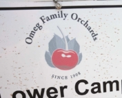 The lower camp at Omeg Family Orchards in The Dalles, Oregon, area in 2017. (TJ Mullinax/Good Fruit Grower)