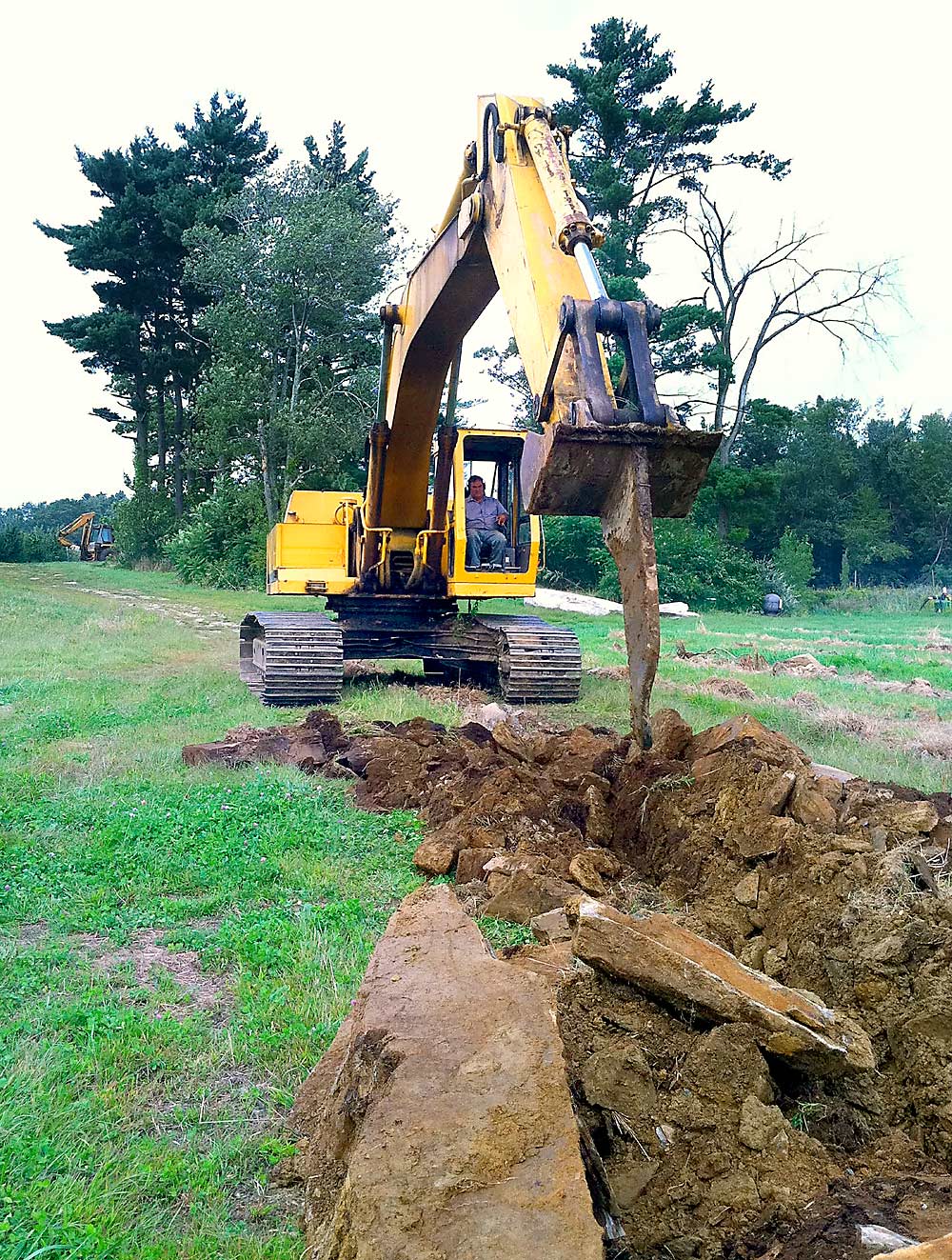 Grower Mo Tougas rips a planting trench for apples at Tougas Family Farm in Northborough, Massachusetts. Note the large rocks. New England growers spend a lot of time and money removing boulders from their soil. (Courtesy Andre Tougas)