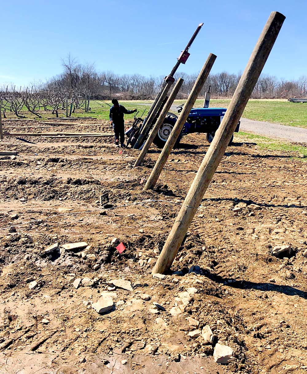 The Tougas family drives 5- to 6-inch end posts 3 feet into the ground. Angling the posts allows the weight of the rows to be transferred down to the anchors. The channel iron anchors, not yet installed when the photo was taken, will be driven 4 feet into the ground about 6 feet past the base of the end post. (Courtesy Andre Tougas)