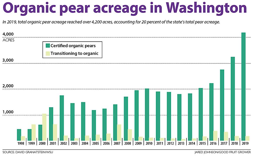 This chart shows the growth in organic pear acreage in Washington from 1998 to 2019. (Source: David Granatstein/Washington State University, Graphic: Jared Johnson/Good Fruit Grower)