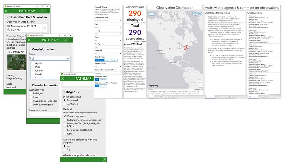 Examples of the PATHMAP smartphone app’s data entry screen, left, and the interactive dashboard, above. Users record data on the app and share it with other experts on the dashboard. The resulting consensus is archived and searchable. (Courtesy Agricultural Research Service)