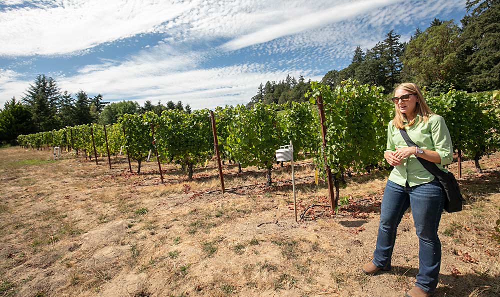 Because Willamette Valley growers typically don’t irrigate after vines are established, there is little known about soil moisture dynamics and how much drought stress vineyards can handle, said Patty Skinkis, Oregon State University viticulture extension specialist, at Allison Vineyard in Newberg, Oregon, where she has been studying soil moisture in different soil types. (TJ Mullinax/Good Fruit Grower)