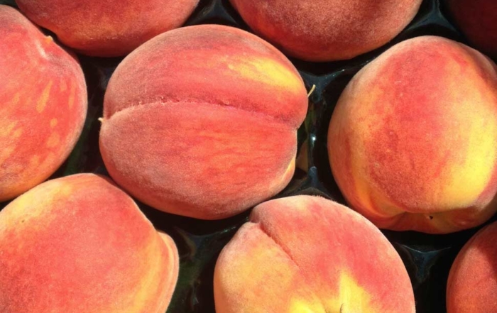 Examples of Redhaven peaches. (Courtesy Bill Shane/Michigan State University)