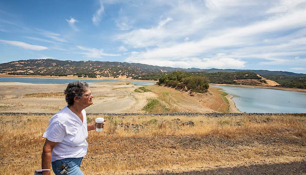 Rachel Elkins, a semiretired University of California extension pomology farm advisor, strides along the parched banks of Lake Mendocino, headwaters of the Russian River. (TJ Mullinax/Good Fruit Grower)