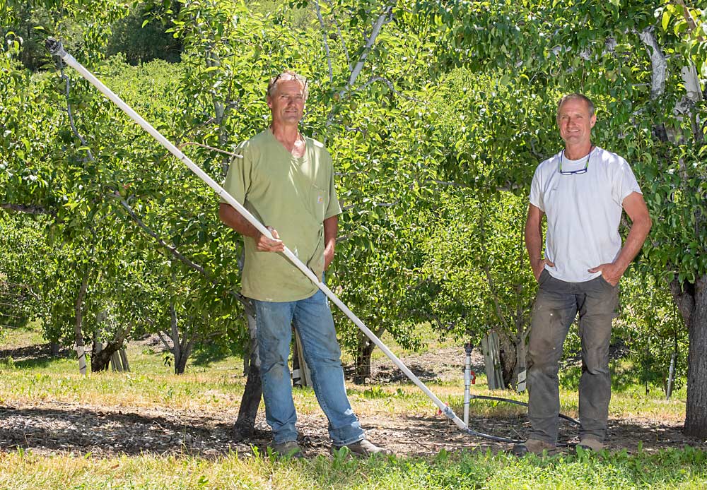 Twin brothers Kameron, left, and Kerry Miller of Cashmere didn’t invent the idea of overhead washing as psylla control, but several colleagues credit them with devising a simple delivery system widely used in the Wenatchee Valley. (TJ Mullinax/Good Fruit Grower)