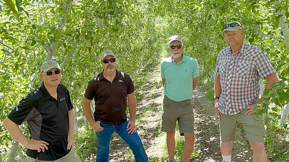 Pictured left to right, Musacchi speaks with Ray Schmitten, Bob Gix and Rudy Prey about the future of Washington’s pear industry. (TJ Mullinax/Good Fruit Grower)