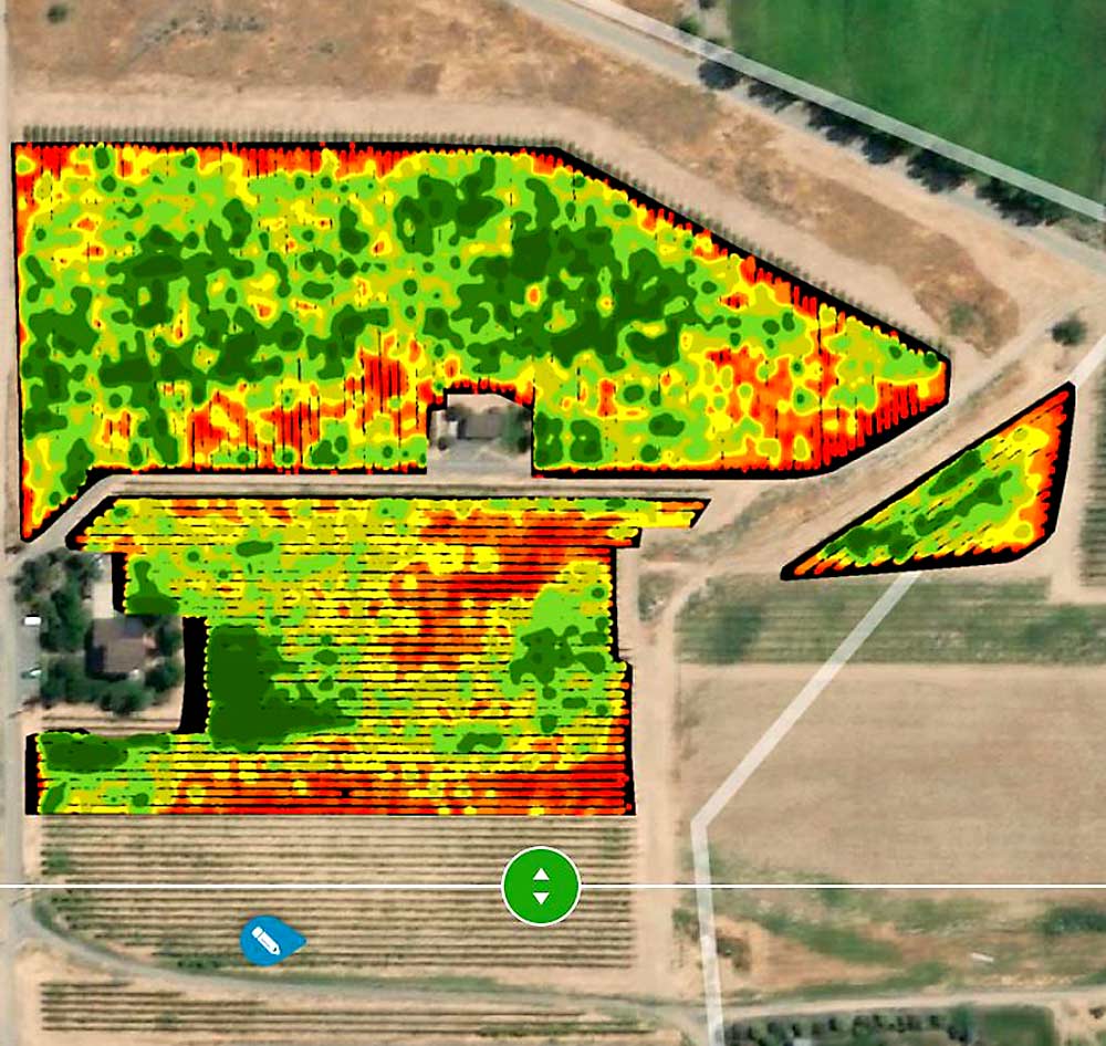 To maximize success when scouting for phylloxera, WSU’s Michelle Moyer recommends starting with NDVI images to find areas of low vigor. Sampling in those poor-performing areas is more likely to uncover a pest problem, such as phylloxera, in the vineyard. (Courtesy Michelle Moyer)