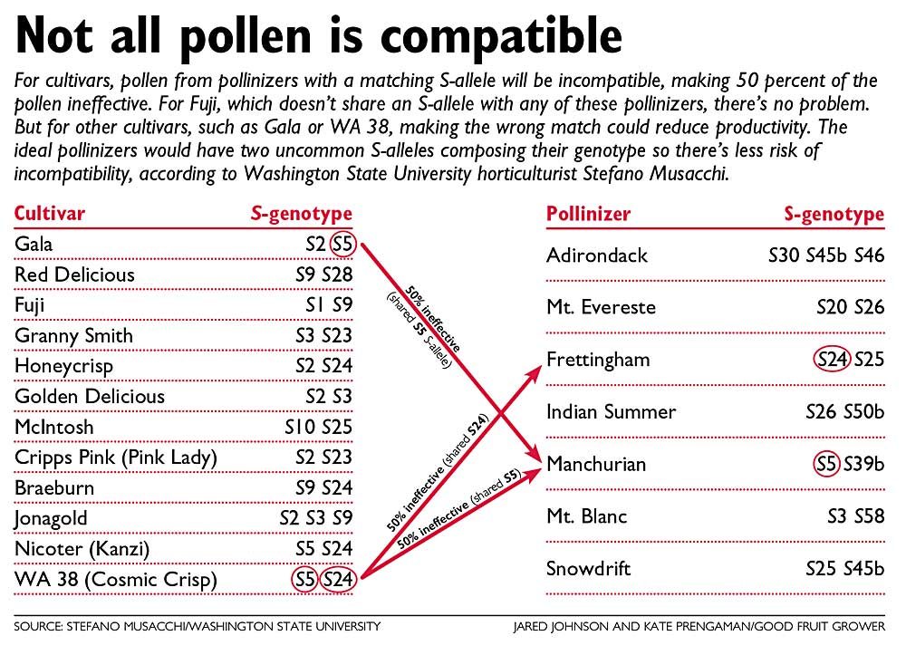 https://www.goodfruit.com/wp-content/uploads/pollenCompatibilityChart-1000x723.jpg