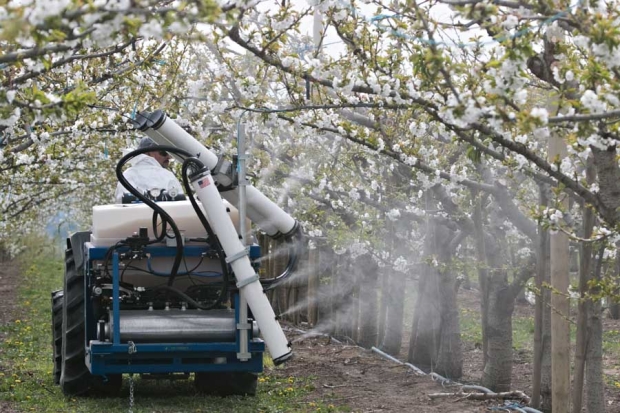 Juan Farias drives a spray rig outfitted with test equipment for the application of pollination in a cherry block in the Prosser, Washington on March 3, 2015. (TJ Mullinax/Good Fruit Grower)