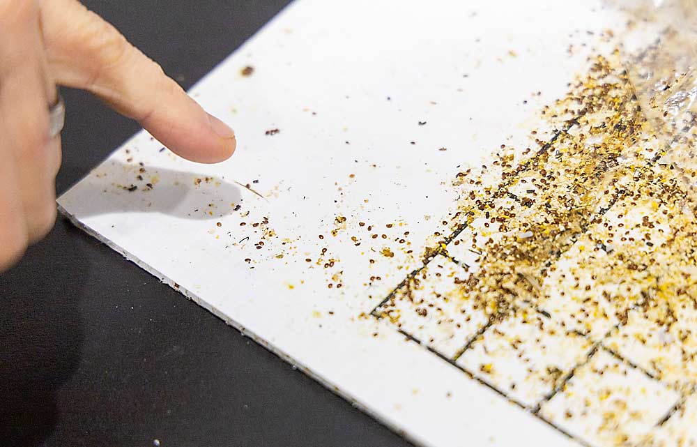 Dan Wyns, manager of Michigan State University’s new Pollinator Performance Center, points at a sticky board that was placed beneath a hive. The little, dark ovals are varroa mites, the main scourge of honey bees. The board is part of a miticide trial. (Matt Milkovich/Good Fruit Grower)