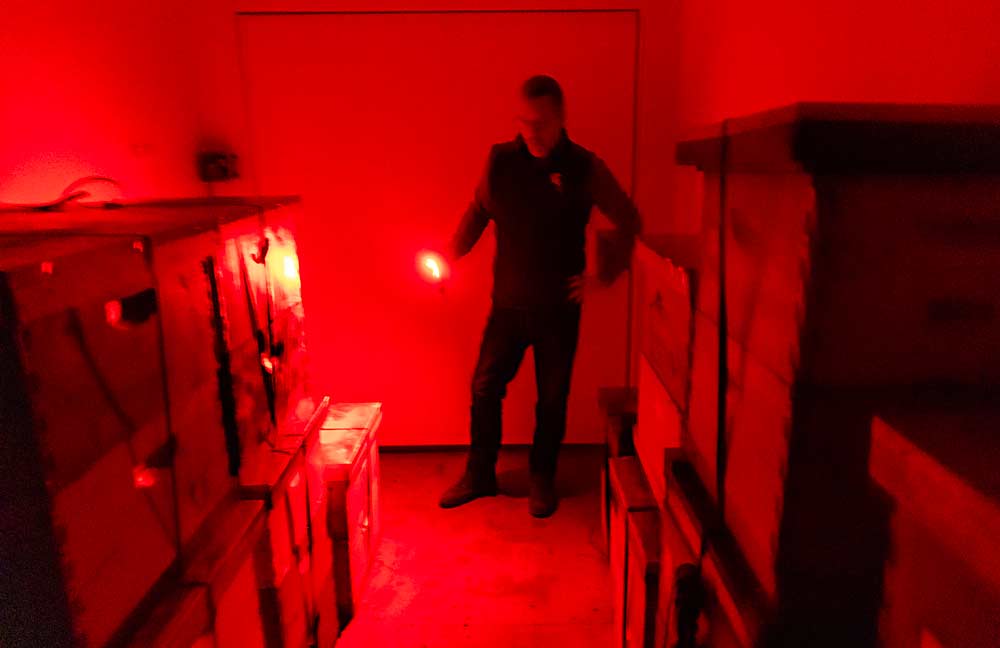 Wyns stands in an indoor wintering room at MSU’s Pollinator Performance Center. Because bees have a different visual spectrum than humans, the red light allows him to check on the bees without disrupting them. (Matt Milkovich/Good Fruit Grower)