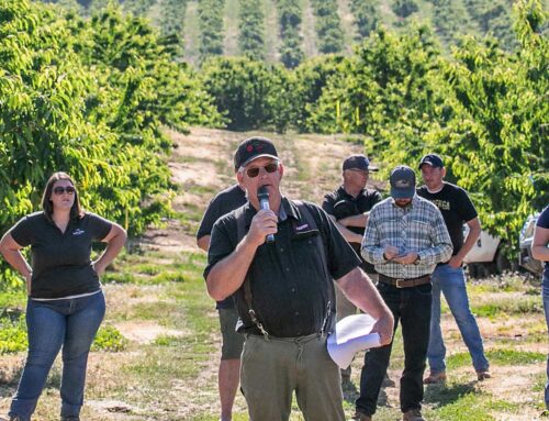 Northwest growers take annual Columbia Gorge preharvest cherry tour