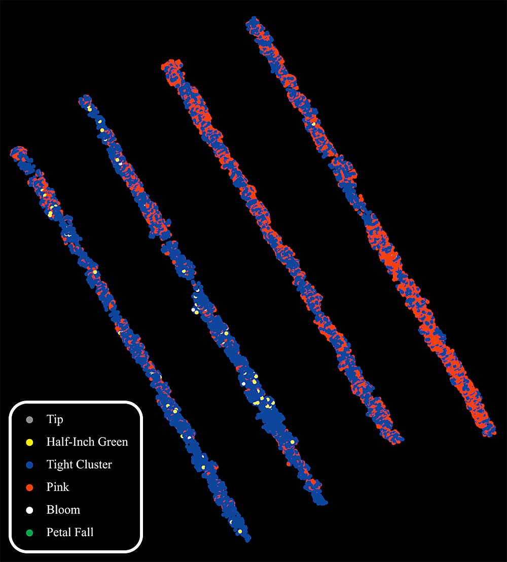 A bud stage map based on drone imaging of tree canopies during blossom stage. The Penn State University frost protection team used machine learning to distinguish the development stages. The goal is for drones to communicate such data to a ground vehicle with a heater attached. (Courtesy Wenan Yuan/Penn State University)