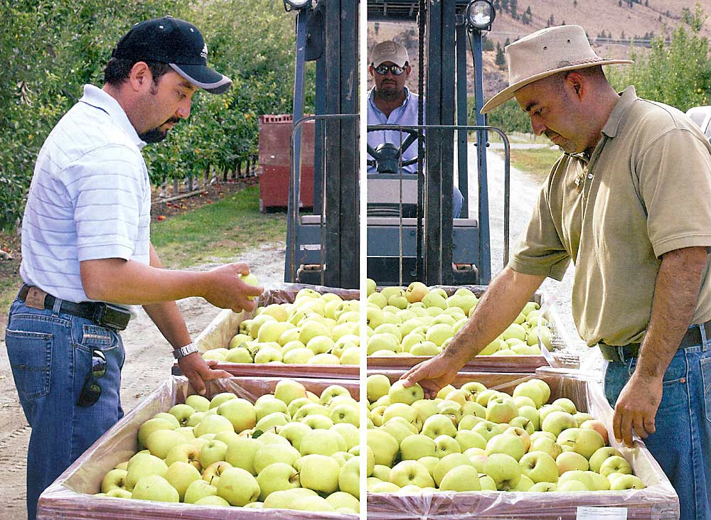 Francisco, left, and Humberto Ramirez graduated from Wenatchee Valley College’s Hispanic Orchard Employee Education Program. (Geraldine Warner/Good Fruit Grower)