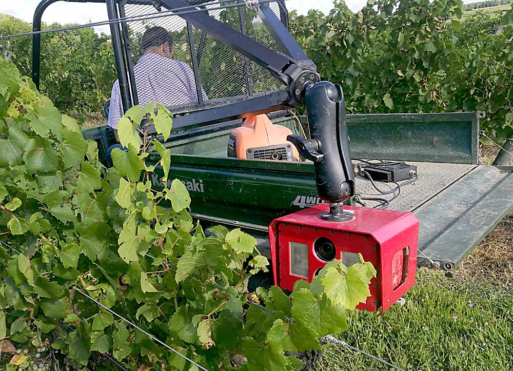 U.S. Department of Agriculture plant pathologist Lance Cadle-Davidson drives a tractor equipped with a camera that the researchers hope to use in concert with new artificial intelligence algorithms to detect disease in the field rather than in the lab. (Courtesy Surya Sapkota/Cornell University)