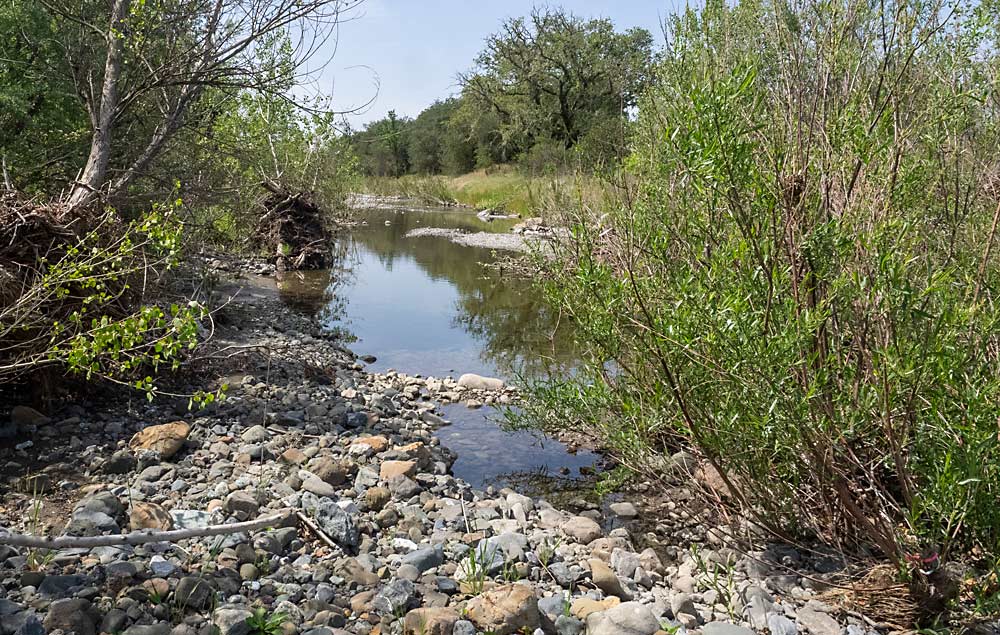 Natural areas, especially trees, contribute a lot of carbon sequestration — but in the same area, the riverwash soil, with the clay long washed out, doesn’t hold carbon well at all. Soils vary hugely in their ability to sequester carbon. (Kate Golden/for Good Fruit Grower)