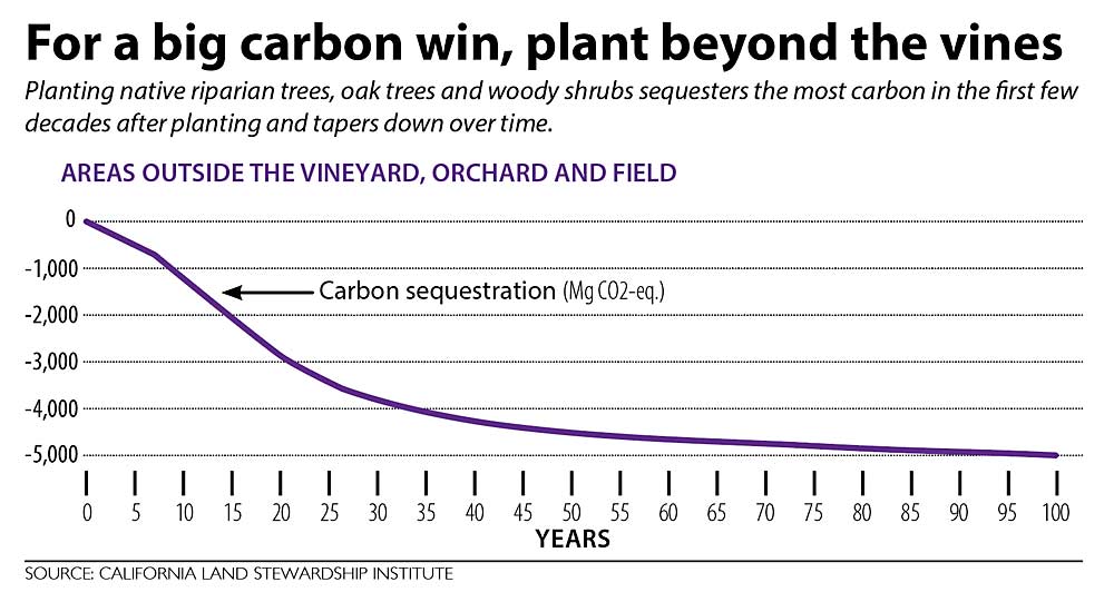 A pilot project run by the nonprofit California Land Stewardship Institute showed planting native riparian trees, oak trees and woody shrubs sequesters the most carbon in the first few decades after planting and tapers down over time. (Source: California Land Stewardship Institute using COMET-Farm model; Graphic: Jared Johnson)