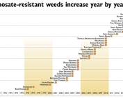 CLICK TO ENLARGE (PDF) The longer a herbicide is on the market, the longer the list of resistant species. There are 35 known Roundup-resistant weed species in the world. Source: Ian Heap, WeedScience.org (Jared Johnson/Good Fruit Grower illustration)