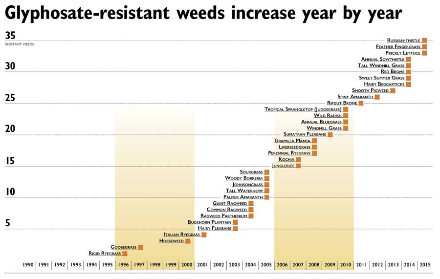 CLICK TO ENLARGE (PDF) The longer a herbicide is on the market, the longer the list of resistant species. There are 35 known Roundup-resistant weed species in the world. Source: Ian Heap, WeedScience.org (Jared Johnson/Good Fruit Grower illustration)