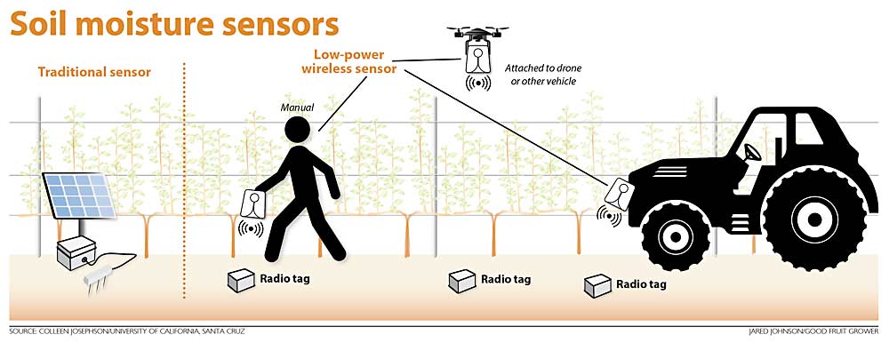 University of California, Santa Cruz, assistant professor Colleen Josephson is developing an inexpensive soil moisture sensor that uses radio frequency. (Source: Colleen Josephson/University of California, Santa Cruz; Jared Johnson/Good Fruit Grower)