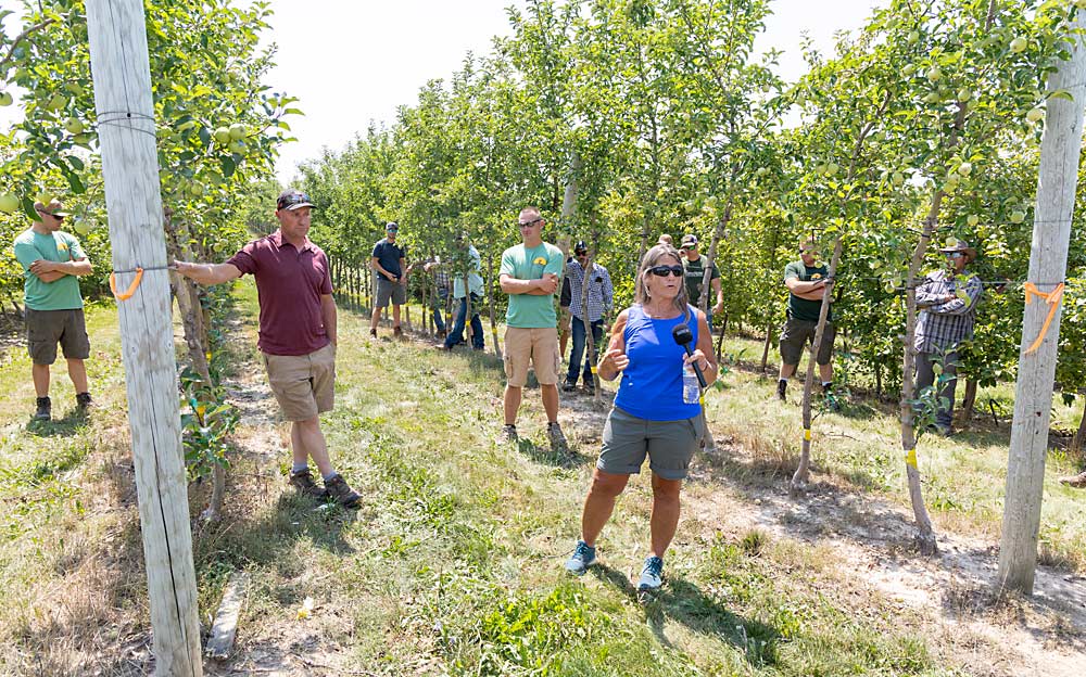 Grafter Robbi VanTimmeren explains the side-grafting technique with grower Roger Umlor, second from left, during the Michigan Pomesters’ annual Ridgefest field day in August.(Matt Milkovich/Good Fruit Grower)