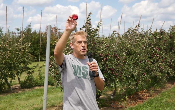 Michigan State University horticulture professor Steve van Nocker displays the red flesh of the Otterson apple variety during the Michigan Pomesters’ 11th annual Ridgefest on July 28 in Clarksville. Otterson is probably the most promising variety to emerge from his red-fleshed apple collection. (Matt Milkovich/Good Fruit Grower)