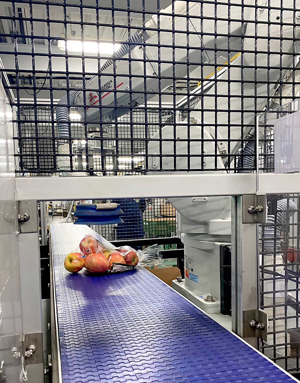 A new robotic arm, installed in 2020, reaches for a bag of apples to automatically hoist into a shipping box at the Norfolk Fruit Growers’ Association facility in Simcoe, Ontario. The company had planned to add the automated element to its packing line in the coming years, for efficiency’s sake, but bumped up the schedule to allow more social distancing and make up for self-isolating employees during the coronavirus pandemic. (Courtesy Hayden Dooney/Norfolk Fruit Growers’ Association)