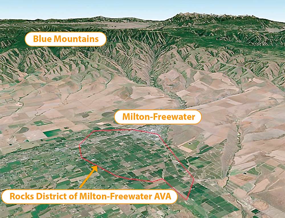 The stony soil of The Rocks District was formed over time by the alluvial fan of the Walla Walla River as it slowed and spread basalt on the plain below the Blue Mountains. (Courtesy Rocks District Winegrowers)