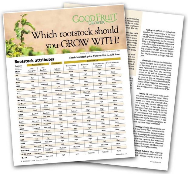 Download the special rootstock guide from our Feb. 1, 2016 issue. (PDF)