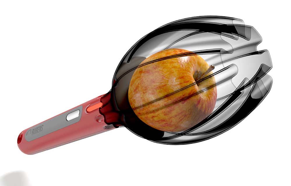This illustration shows how the Rubens Technologies device holds fruit to measure maturity. In reality, the cup around the fruit is solid black to prevent light from entering the device during the scan. Growers simply press a button to initiate the scan, and the results show up immediately in a smartphone app. (Courtesy Rubens Technologies.)