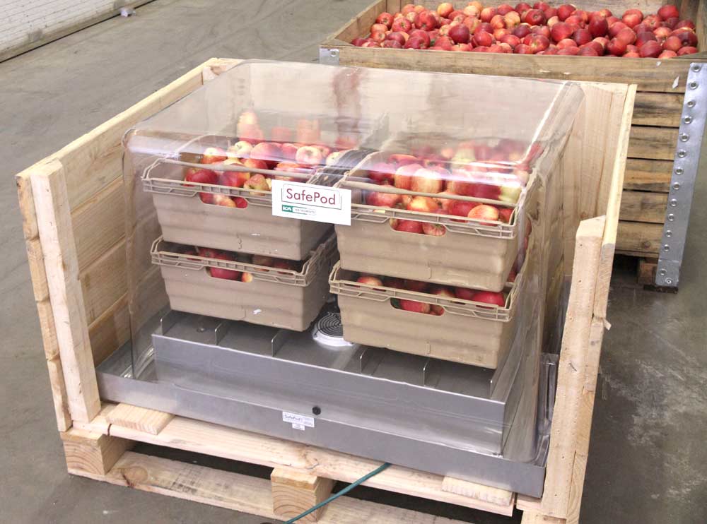 Apples sit in a SafePod in a storeroom in Kent, United Kingdom. The SafePod monitors the fruit’s respiration to assess how it is tolerating low-oxygen storage in order to help warehouses optimize storage conditions.(Courtesy Storage Control Systems, Inc.)
