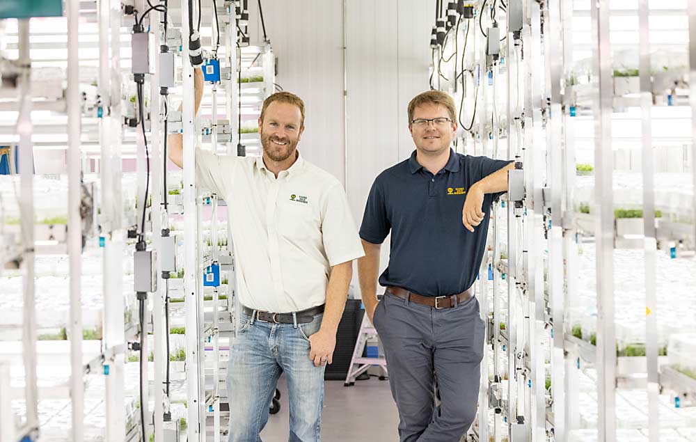 At left, Reid Robinson, executive vice president and chief operating officer, and Brent Burky, sales director, inside the tissue culture growth room. (TJ Mullinax/Good Fruit Grower)