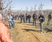 Omeg talks with other growers about his "mow and blow" mulching results during an Oregon State University soils workshop in March 2017. (TJ Mullinax/Good Fruit Grower)