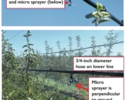 Michigan State University’s Clarksville Research Center is testing a solid-set canopy delivery system designed to apply pesticides more precisely than conventional sprayers.(Courtesy Michigan State University)