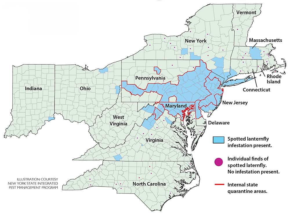 This map shows the spread of spotted lanternfly as of January 2022. (Illustration courtesy New York State Integrated Pest Management Program)