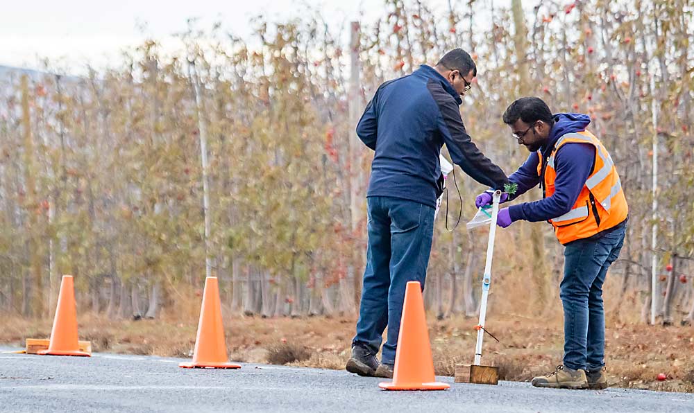 Lav Khot, left, and Rakesh Ranjan collect sample cards and foliar sprigs during a trial in November. (TJ Mullinax/Good Fruit Grower)