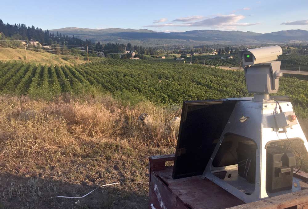Coral Beach has seen success with laser control of birds at its orchards in Coldstream, British Columbia. (Courtesy Coral Beach Farms Ltd.)