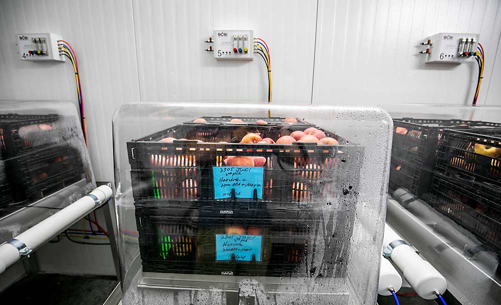 Juici apples store in a LabPod, a small-scale controlled atmosphere storage chamber designed by SafePod manufacturer Storage Control Systems to enable experiments with ultralow oxygen storage, at the Starr Ranch Growers warehouse in Quincy, Washington, in 2022. (TJ Mullinax/Good Fruit Grower)