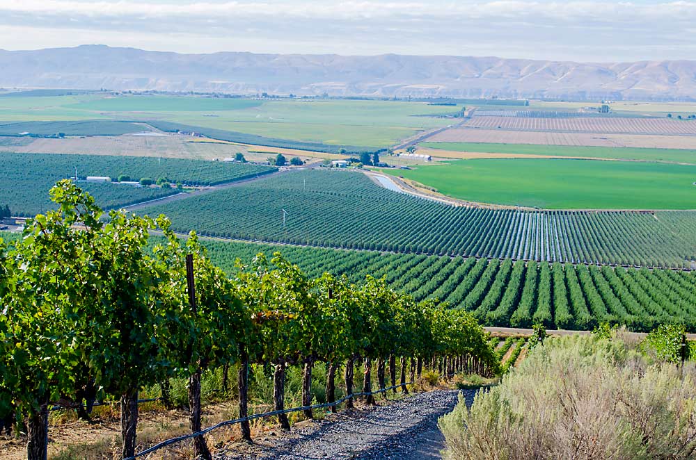 Altitude and southern exposure are among the defining characteristics of the Royal Slope AVA in Central Washington, the state’s 15th official AVA. (Courtesy Stillwater Creek Vineyard)