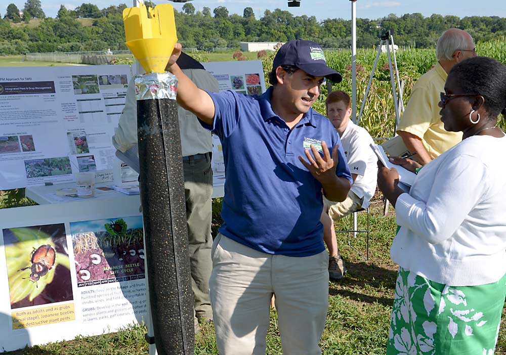 Jaime Piñero, extension associate professor at the University of Massachusetts, shows off one of the Japanese beetle traps during a field day held at Lincoln University’s George Washington Carver Research Farm. Adult Japanese beetles enter a yellow funnel, baited with a floral-based lure and Japanese beetle sex pheromone, and fall into an attached container. Early in the study, the container was a mesh sock (as shown here) that can hold up to 30,000 beetles. Later in the study, the sock was replaced with a larger-capacity 32-gallon garbage can to make the system more grower-friendly. (Courtesy Jaime Piñero)