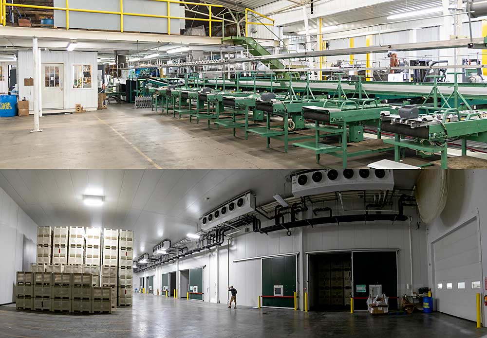 Above: The Applewood Orchards packing line in Deerfield. Between this and two other facilities in western Michigan, the Swindemans pack about 1.5 million bushels a year. Below: The company’s newest controlled-atmosphere storage facility in Deerfield has 16 rooms that hold more than 13,000 bins. (TJ Mullinax/Good Fruit Grower)