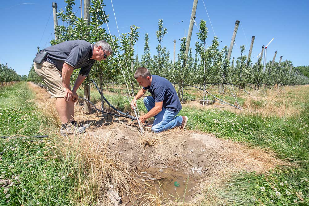 Jim Swindeman, left, and his nephew, Michael Swindeman, fix a leaky irrigation line in a block near Deerfield, Michigan. Michael, 36, is gradually taking on more of the farm’s horticultural duties. (TJ Mullinax/Good Fruit Grower)