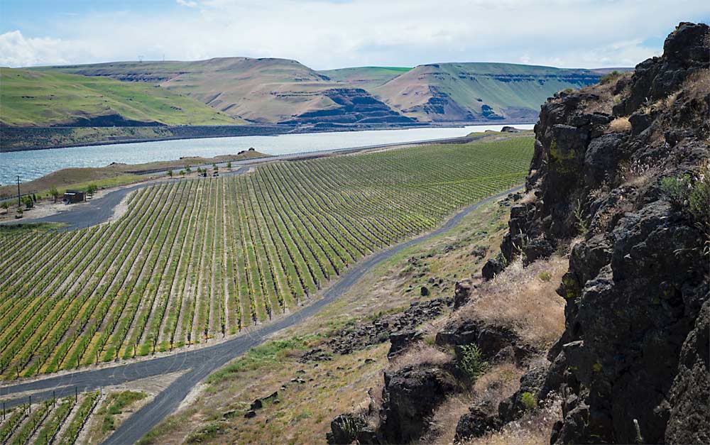 The Burn of Columbia Valley AVA was officially recognized as a distinct American Viticultural Area within Washington's Columbia Valley AVA. (Courtesy Ste. Michelle Wine Estates)