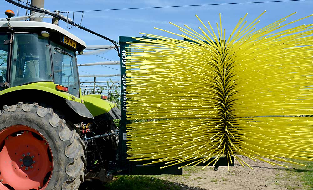 The Eclairvale is a new fruitlet thinning machine developed in France. Results from trials at CTIFL, the French center for research on fruit and vegetables, show strong performance and minimal bruising of remaining fruit, according to engineer Laurent Roche. (Courtesy Laurent Roche)